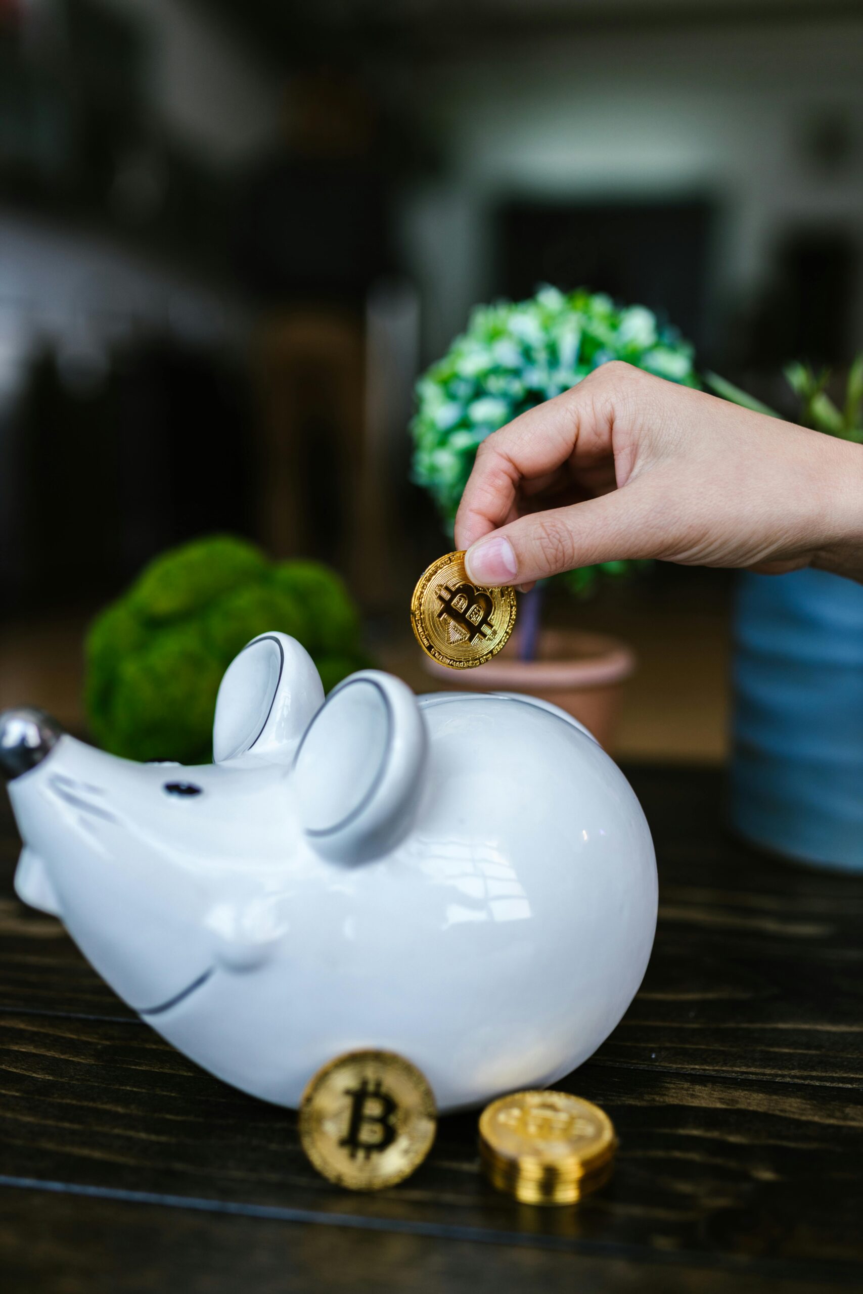 SIP kya hai aur beginners ke liye investment guide 2025